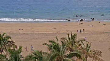 Playa de Puerto del Carmen Live Webcam